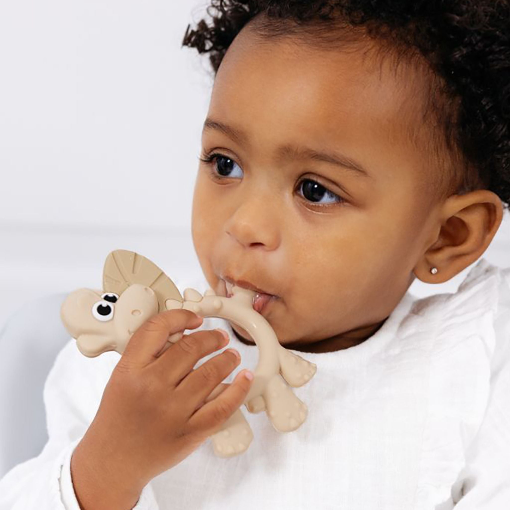 Bibado Sensory Teether Dotty the Dinosaur