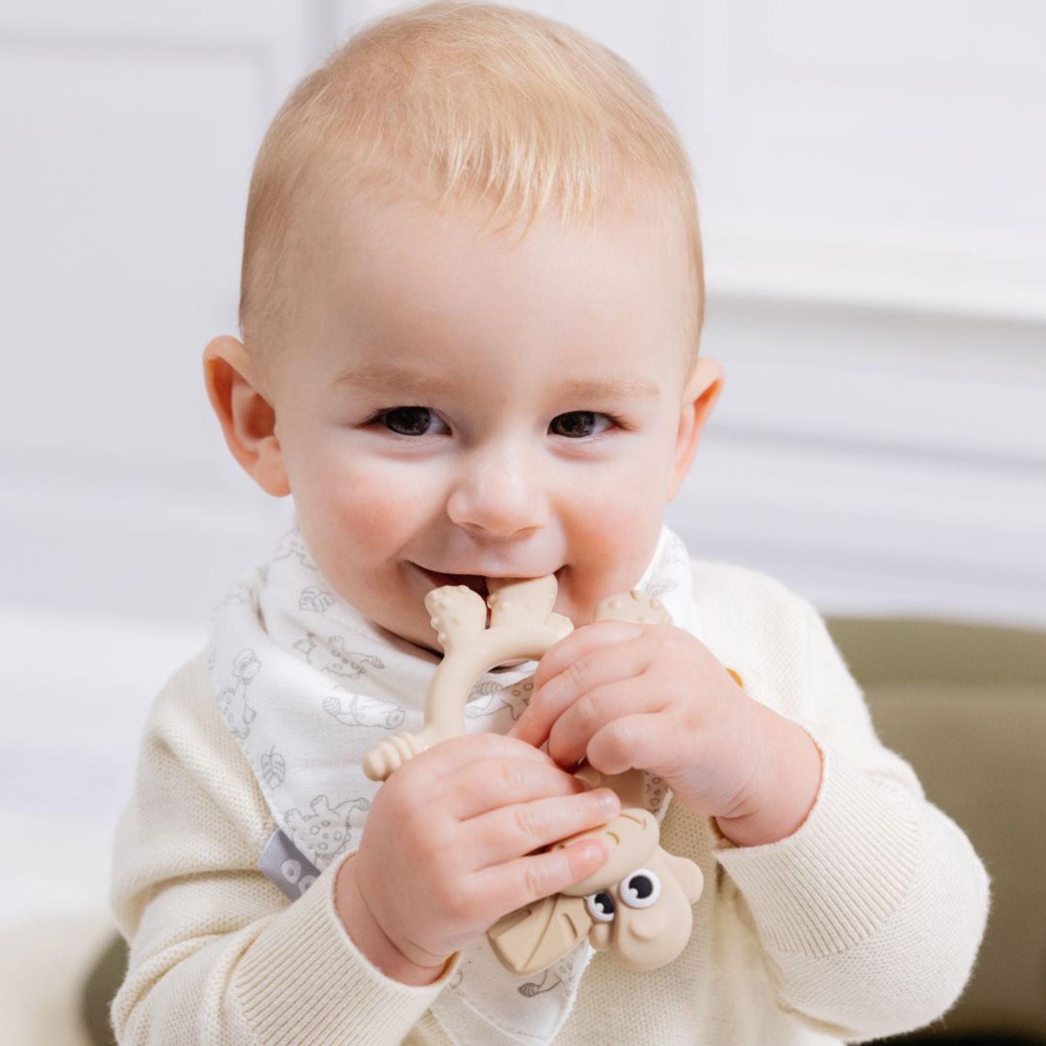 Bibado Sensory Teether Dotty the Dinosaur