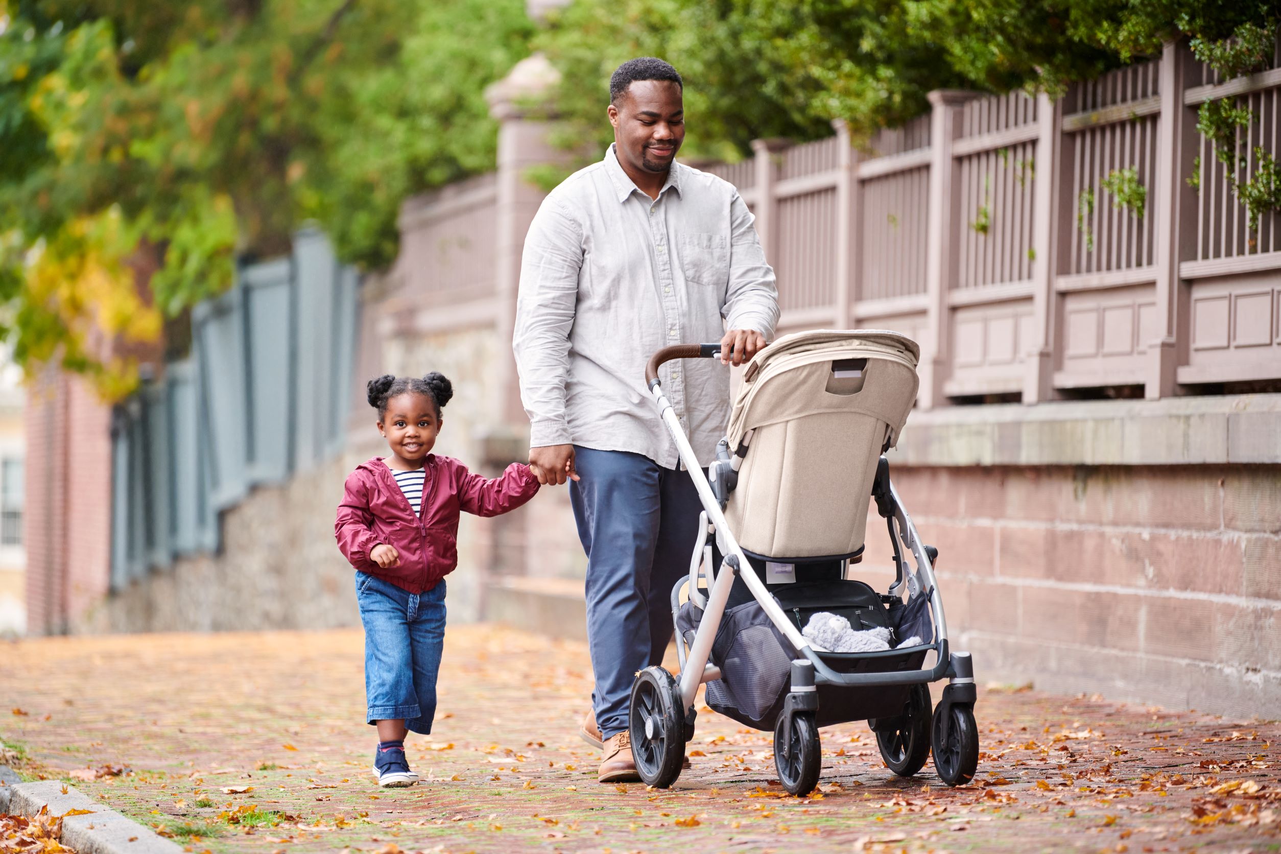 VISTA21_DCL_RF_PB_3374