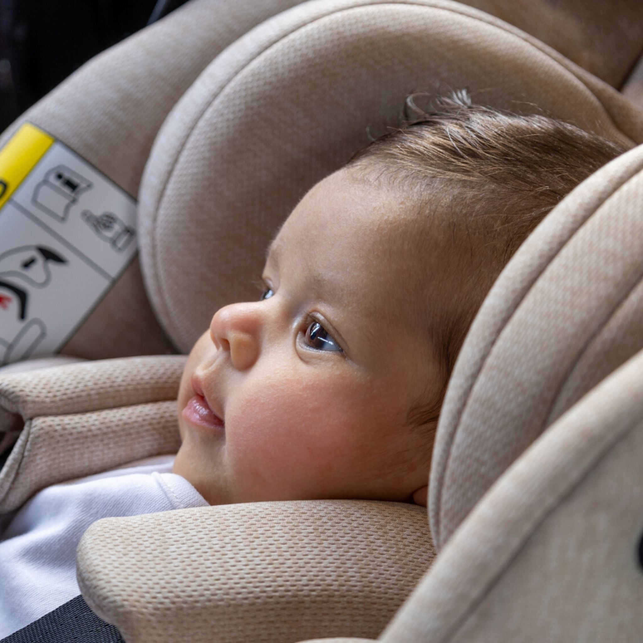 iCandy Cocoon Car Seat and Base