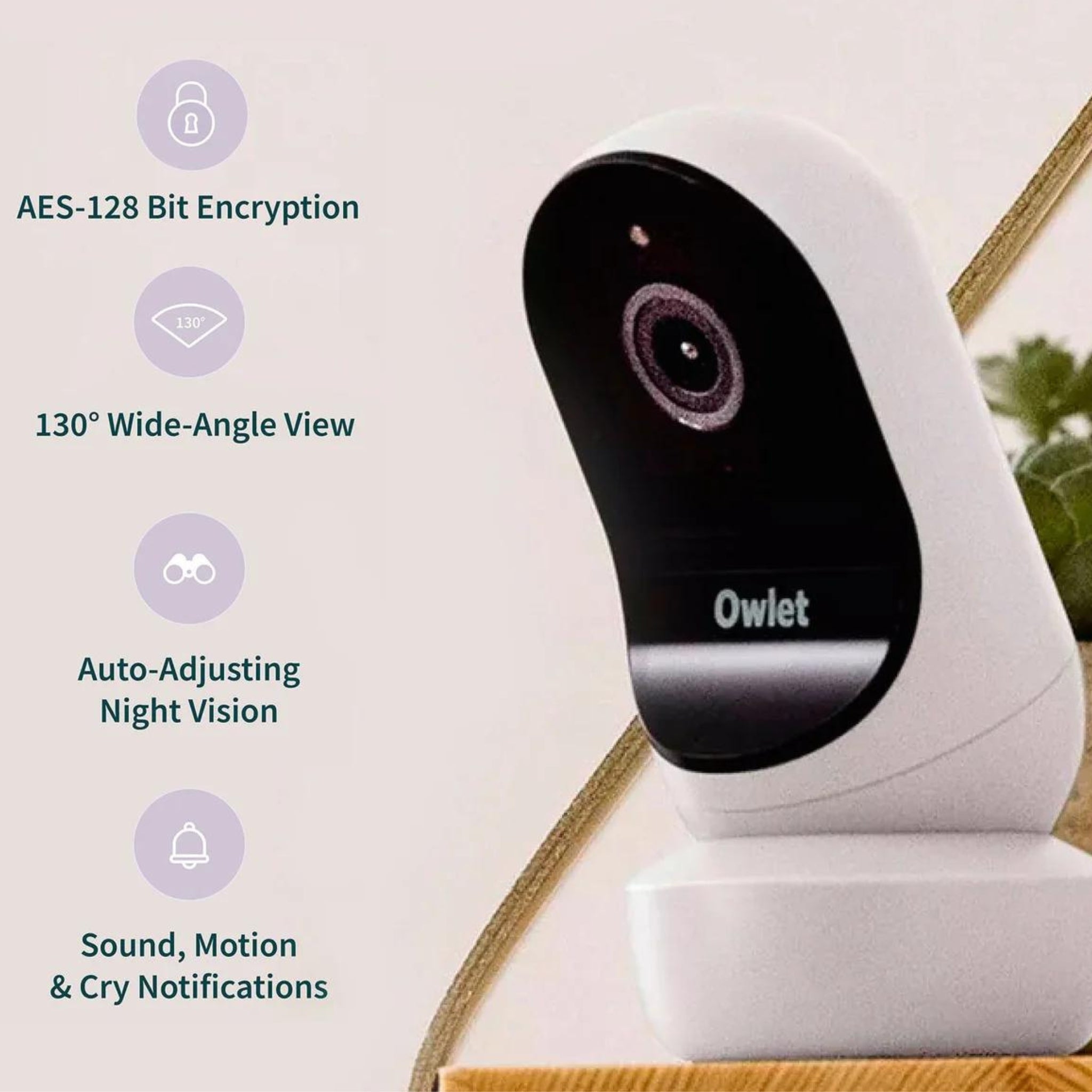 Owlet Dream Sock & Cam2 Bundle