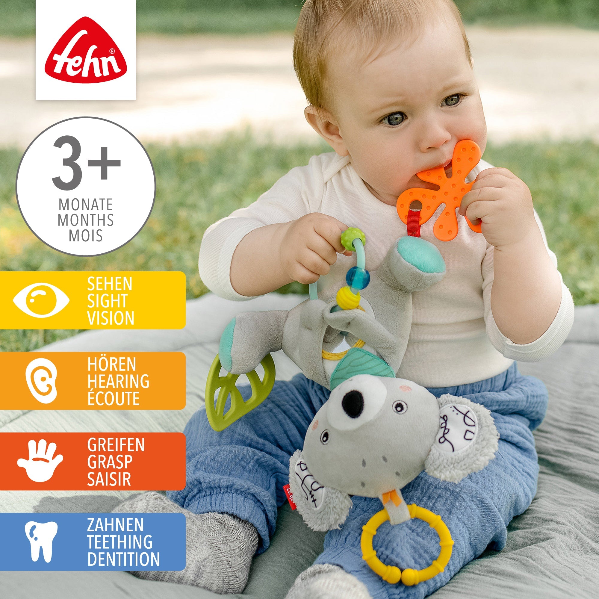Fehn Activity Koala