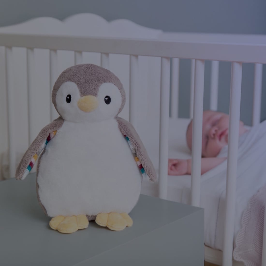 phoebe-auto-off-111820-square-lr