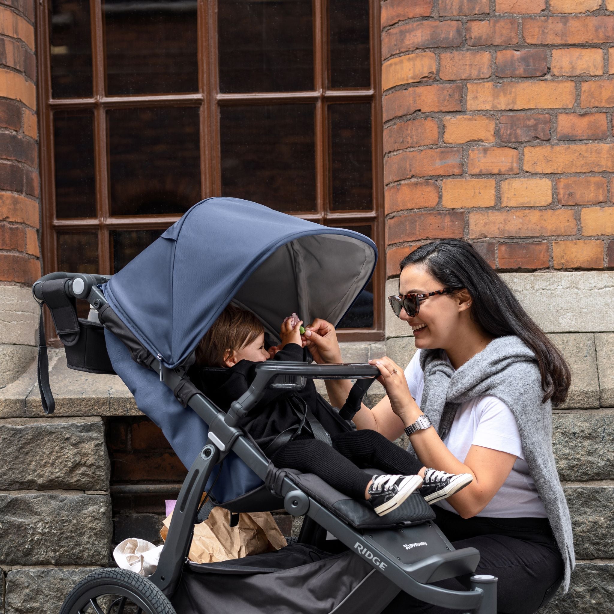 UPPAbaby RIDGE stroller