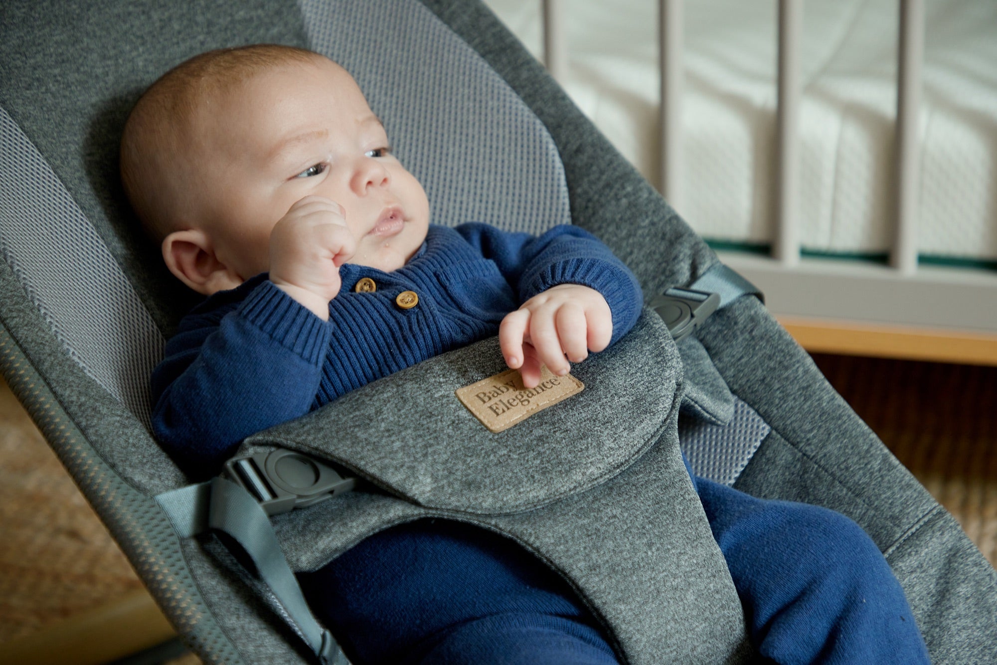 Baby Elegance Allta Bouncer