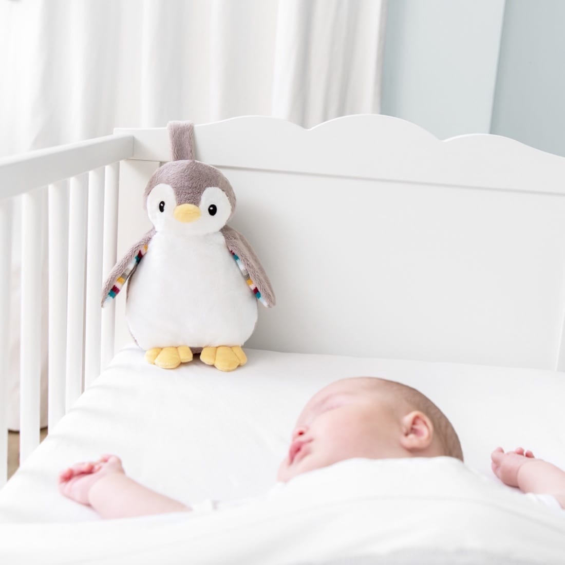 phoebe-sshh-111820-square-lr