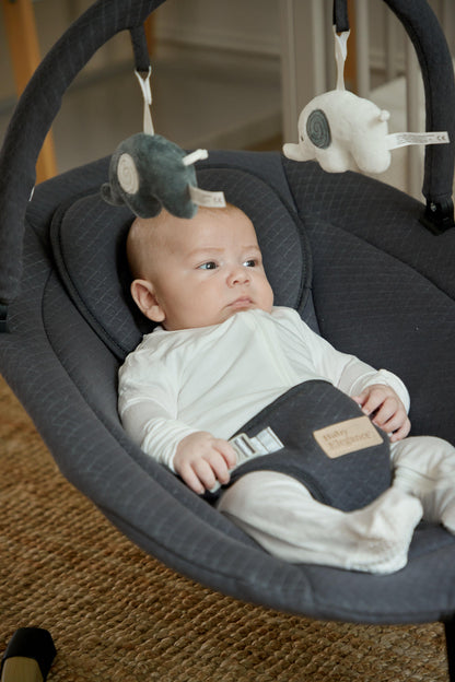 Baby Elegance Allta Auto Swing for Babies