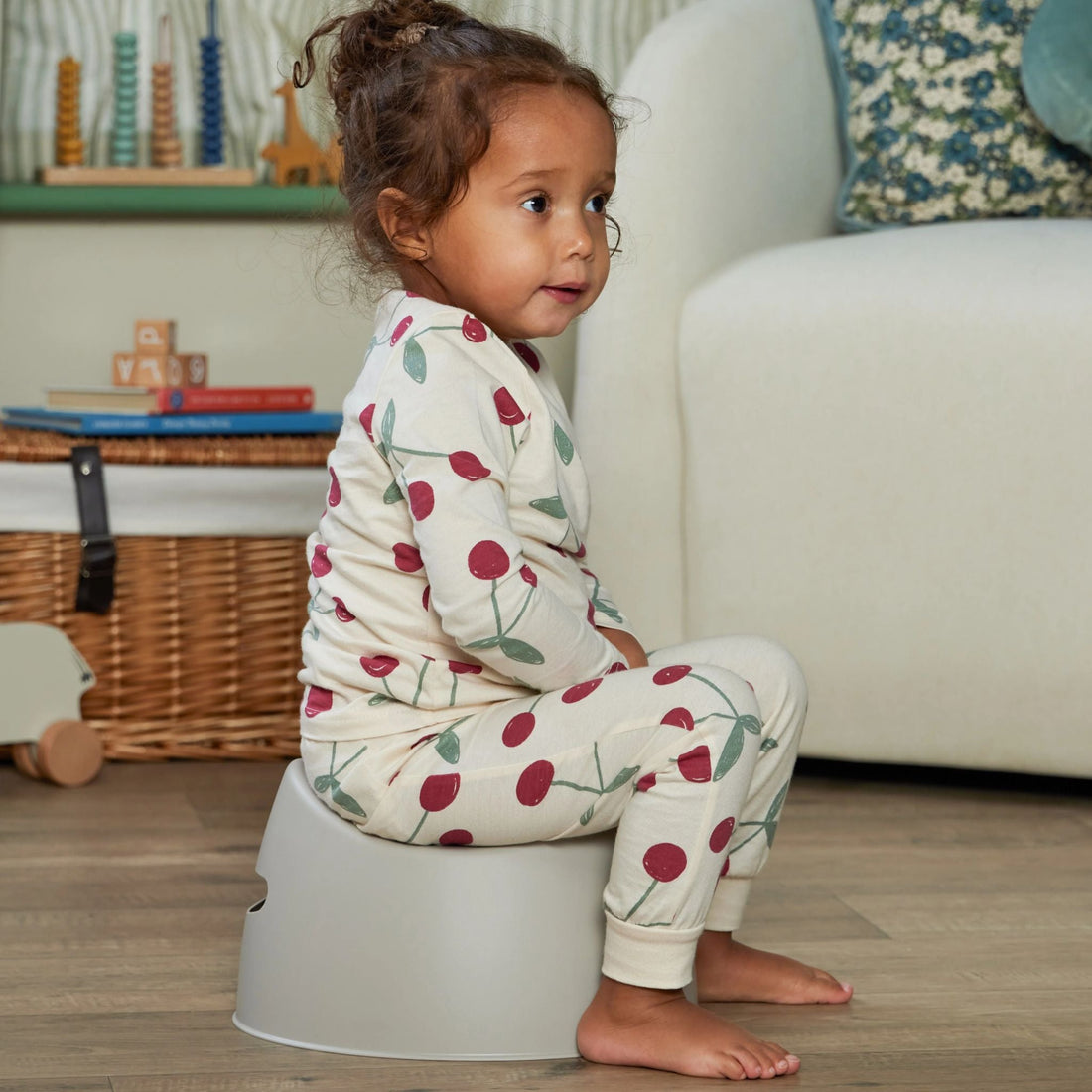 Shnuggle Toddler Potty