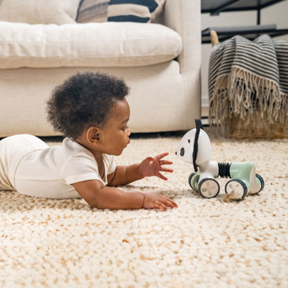 Tiny Love Black &amp; White Décor Rolling Toy