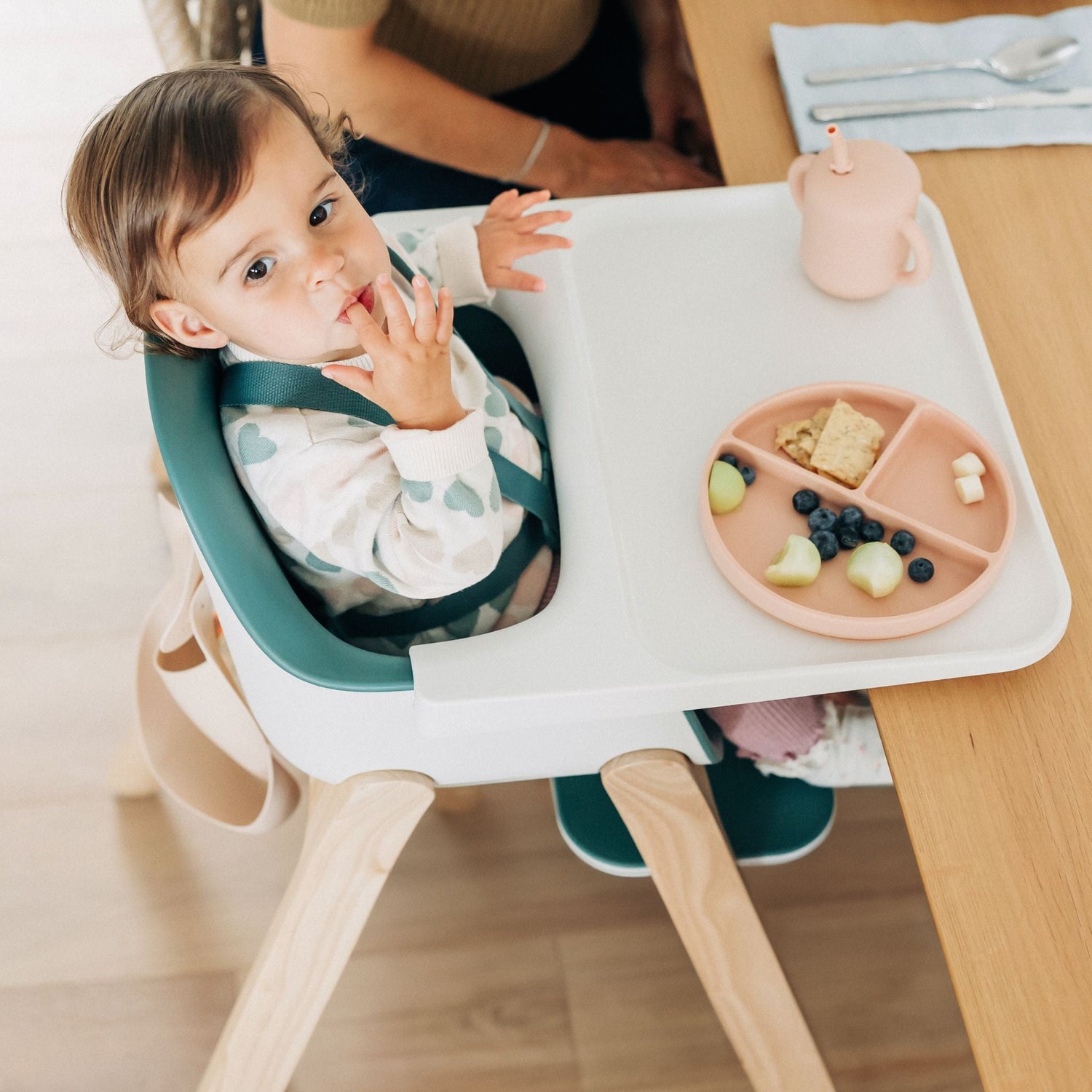 UPPAbaby Ciro High Chair