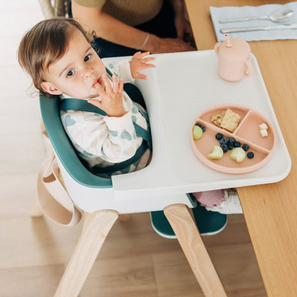 UPPAbaby Ciro High Chair