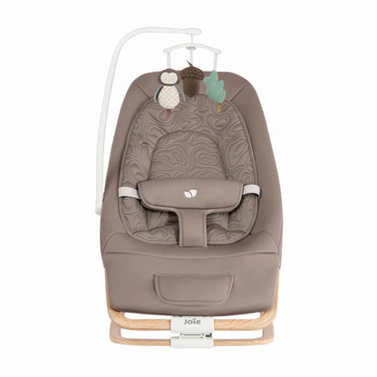 Joie Dreamer Rocker