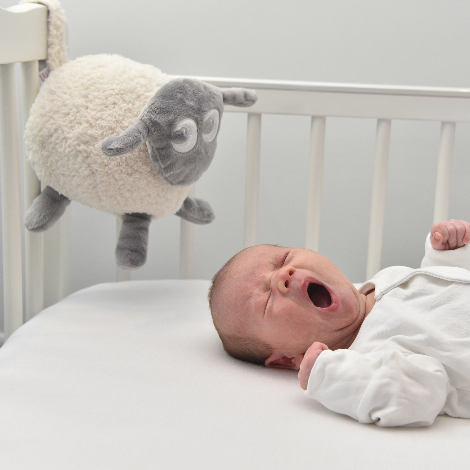 Ewan The Dream Sleep Sweet Dreamers Ewan The Dream Sheep Purple