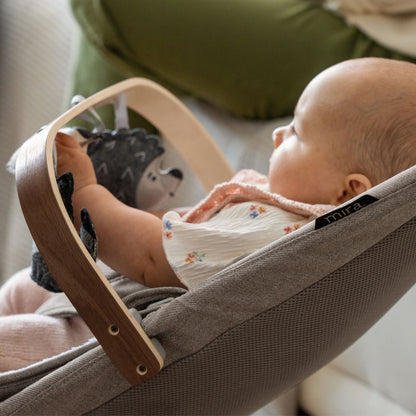 UPPAbaby Mira Bouncer Toy Bar