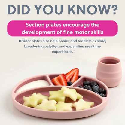 Bibado Silicone Suction Divider Plate