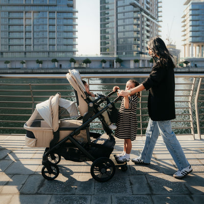 UPPAbaby Vista V3 Stroller